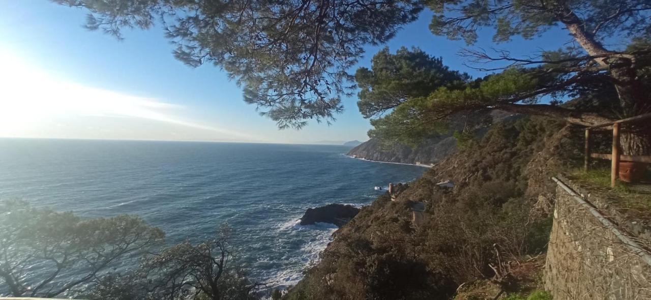 Cinqueterre National Park Sea View Apartment Framura Ngoại thất bức ảnh
