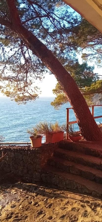 Cinqueterre National Park Sea View Apartment Framura Ngoại thất bức ảnh