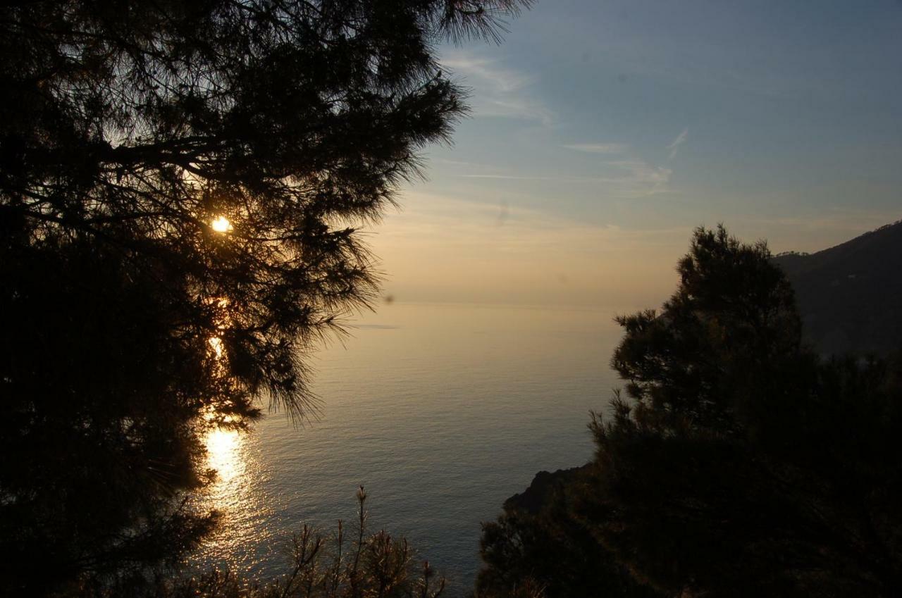 Cinqueterre National Park Sea View Apartment Framura Ngoại thất bức ảnh